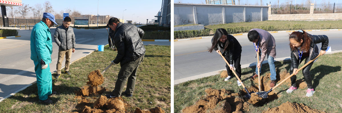 2016年植樹節(jié)活動(dòng) 2016年植樹節(jié)活動(dòng)